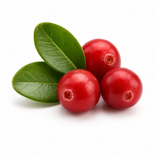 Alpha-arbutin ingredient